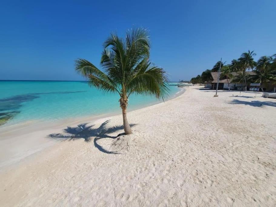 Casa Salina Διαμέρισμα Isla Mujeres Εξωτερικό φωτογραφία